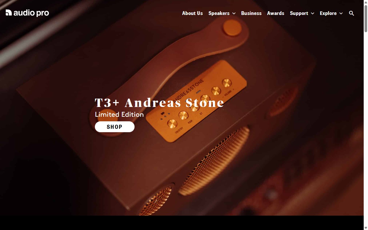 Audio Pro Malaysia website built by SabahWebs